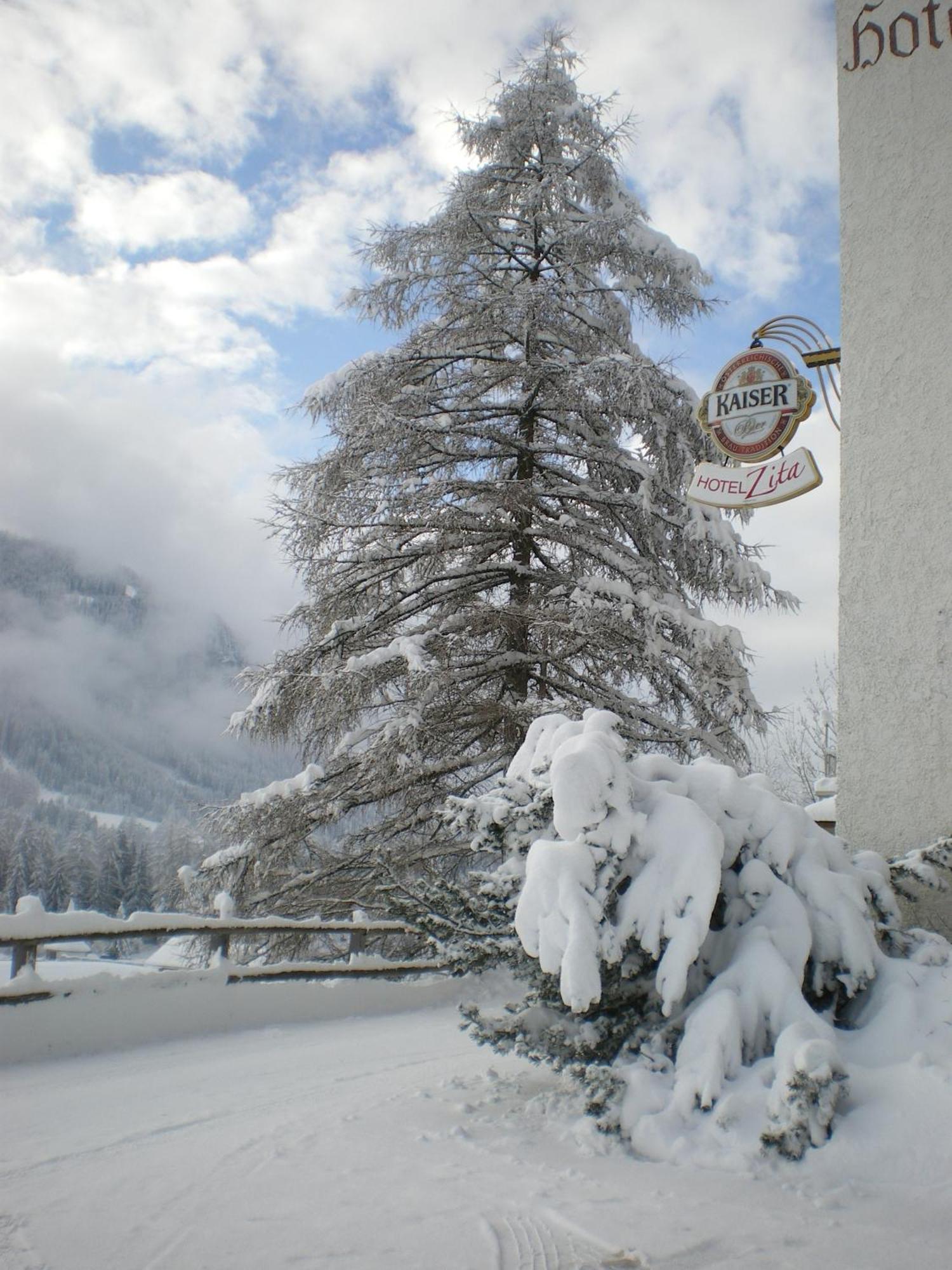 Hotel Zita Trins Exteriör bild