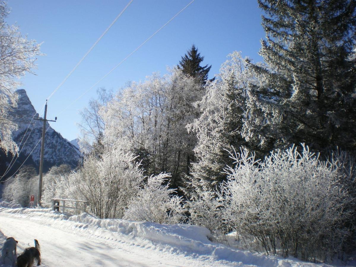 Hotel Zita Trins Exteriör bild